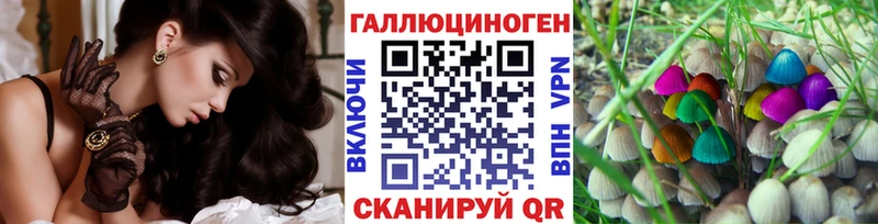 блэк спрут онион  Ефремов  Псилоцибиновые грибы Magic Shrooms 