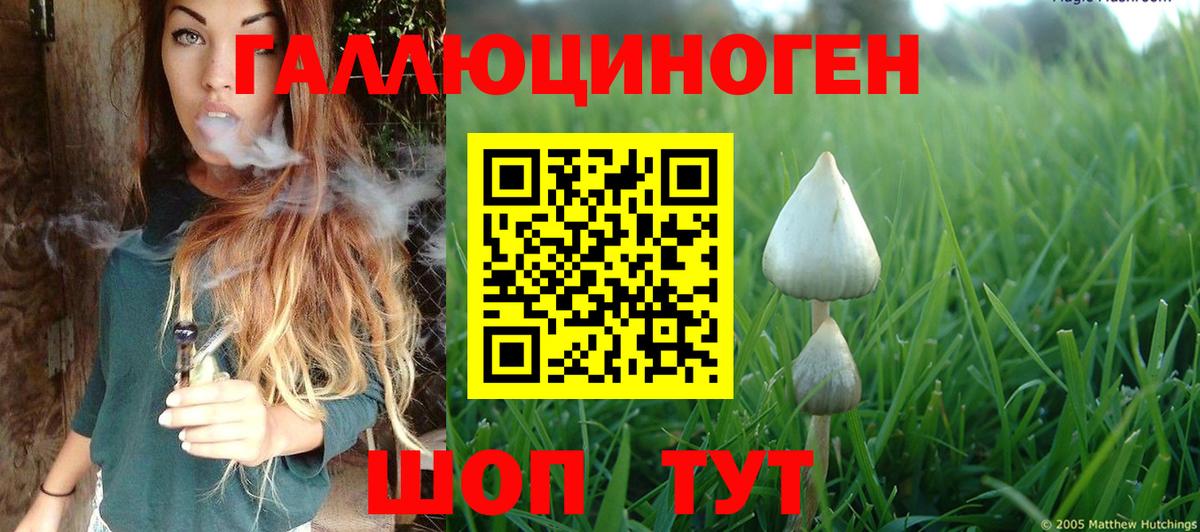 Галлюциногенные грибы прущие грибы  Вход с VPN  магазин    Ефремов 