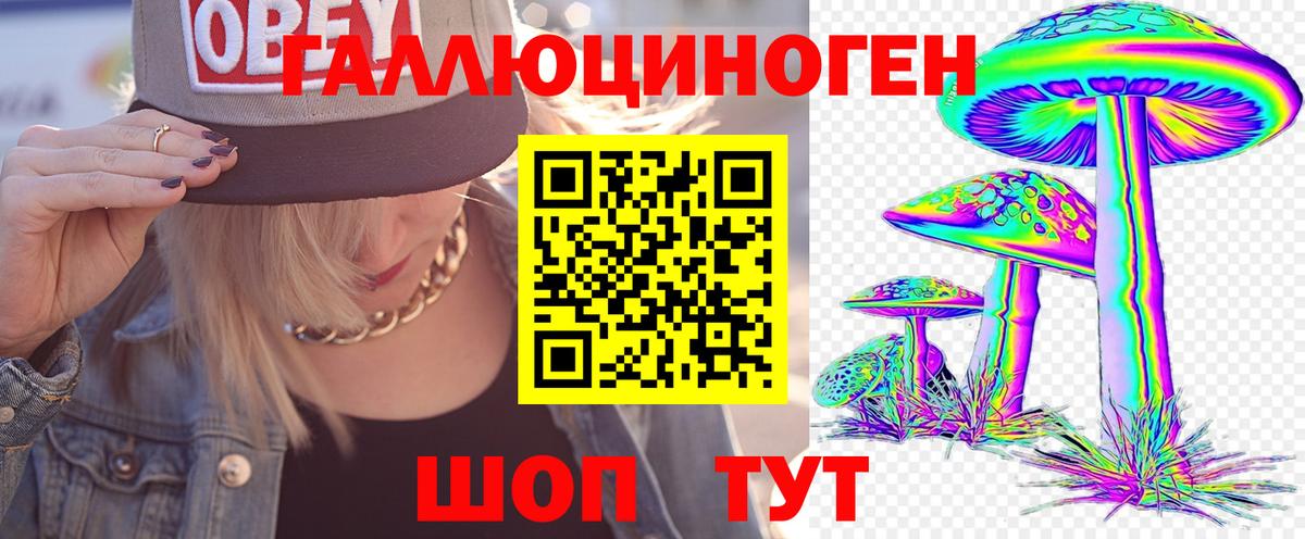 Галлюциногенные грибы прущие грибы Ефремов